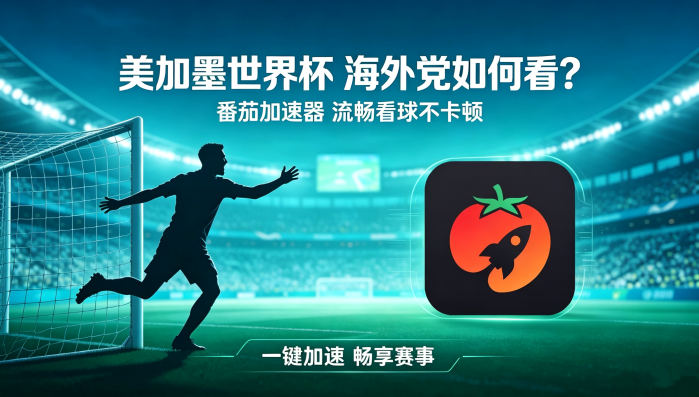 在英国看B站世界杯无法播放教程